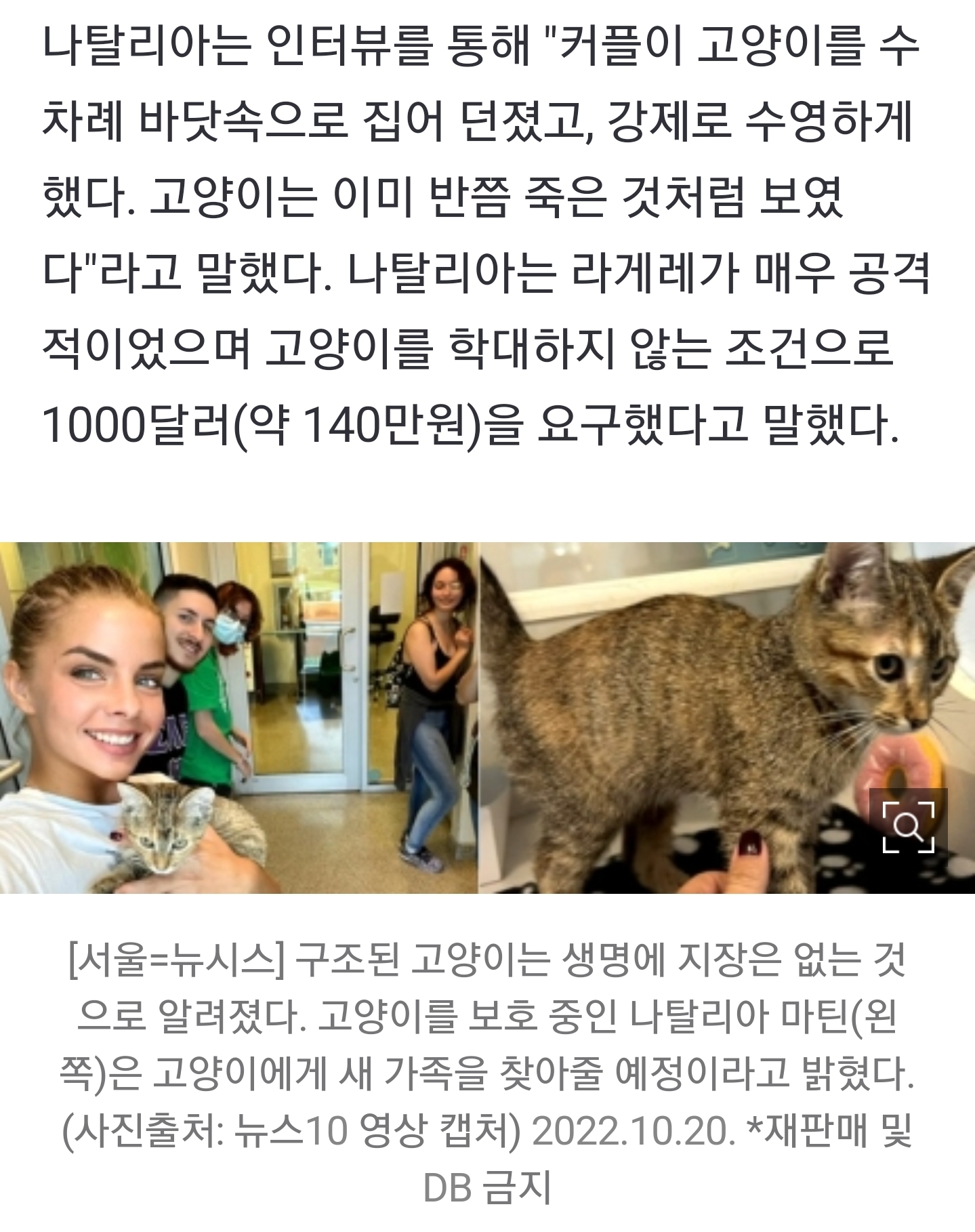 흑인 커플, 바다에서 새끼 고양이로 공놀이…"막고 싶으면 돈내라" | 인스티즈