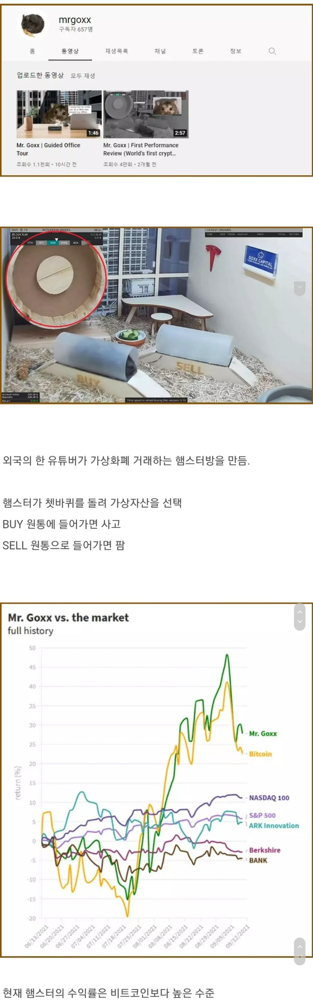 어느 코인 유튜버의 햄스터 매매법 .jpg | 인스티즈