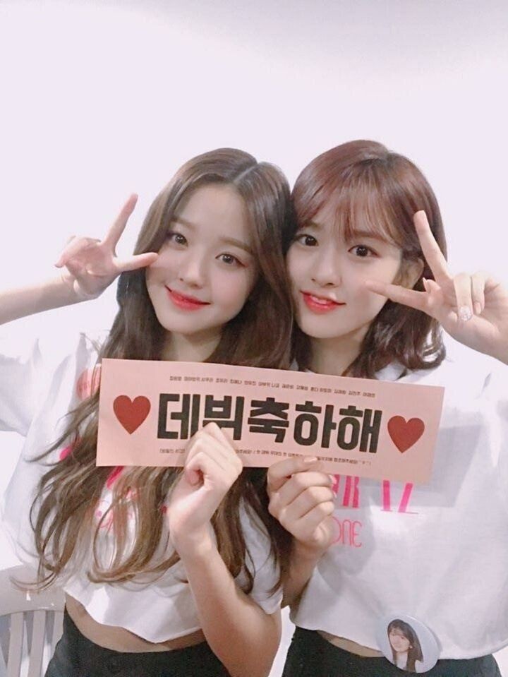 아이브 안녕즈 안유진 장원영.gif | 인스티즈