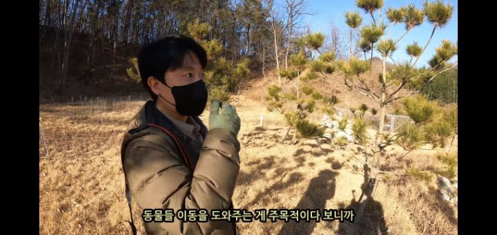 도로 위 야생동물 생태통로를 이용하는 동물들.jpg | 인스티즈