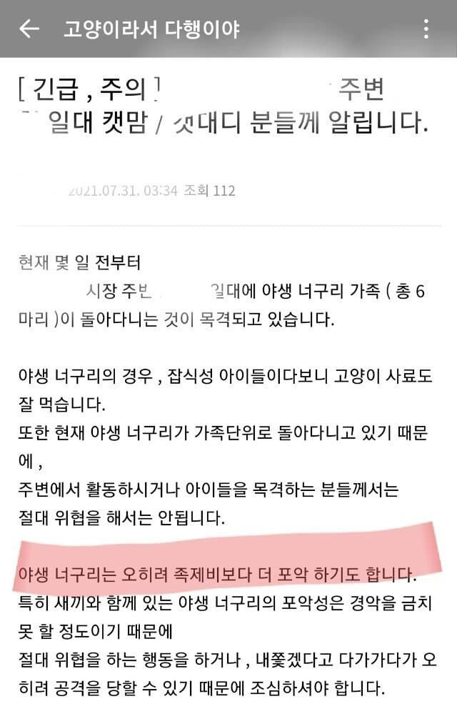 너구리 때문에 캣맘들 비상걸림.jpg | 인스티즈