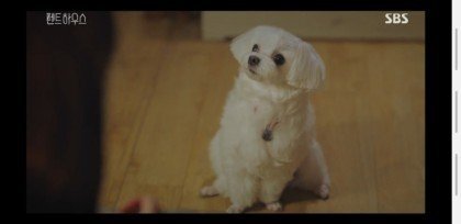 펜트하우스 설탕이.jpgif | 인스티즈
