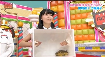 히든박스로 보는 한국과 일본차이 | 인스티즈