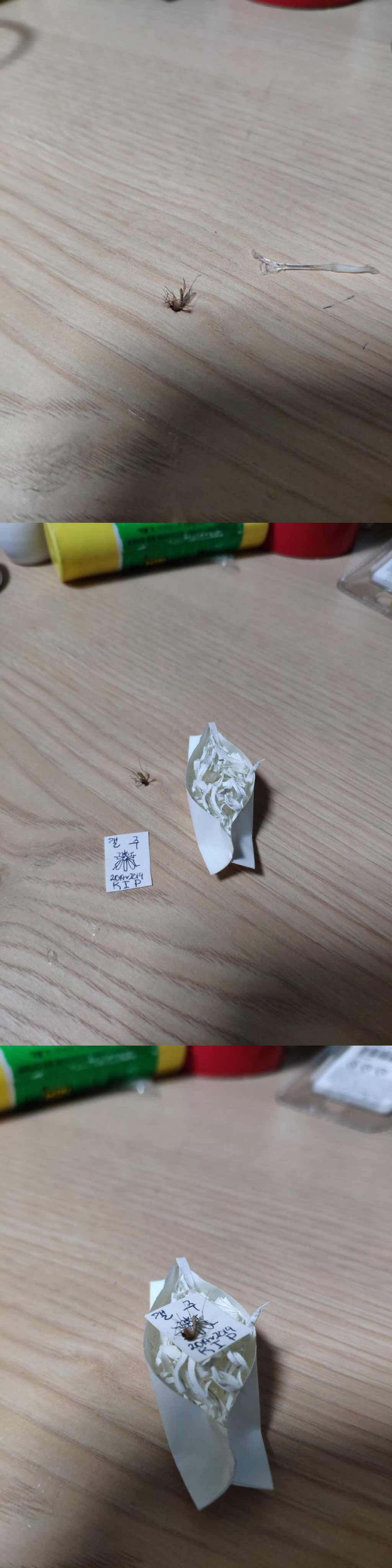 e5ffd23b5f5bf399830eac225ddd98bb1a52c65d