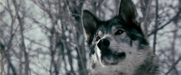 존잼인 밀실 재난 조난 영화들 추천...jpg | 인스티즈