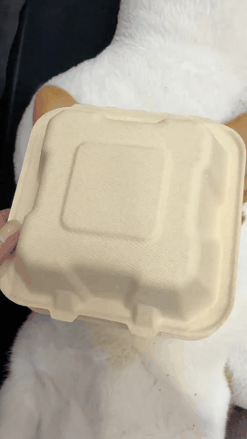 먹기 아까운 코기빵 | 인스티즈