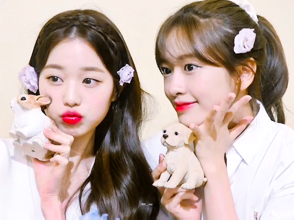 데뷔 이후 햇수로 5년 만에 처음으로 자컨나온 아이브 안녕즈 안유진 장원영.gif | 인스티즈