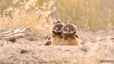 친구가 이상한 걸 하고 나타났다 | 인스티즈