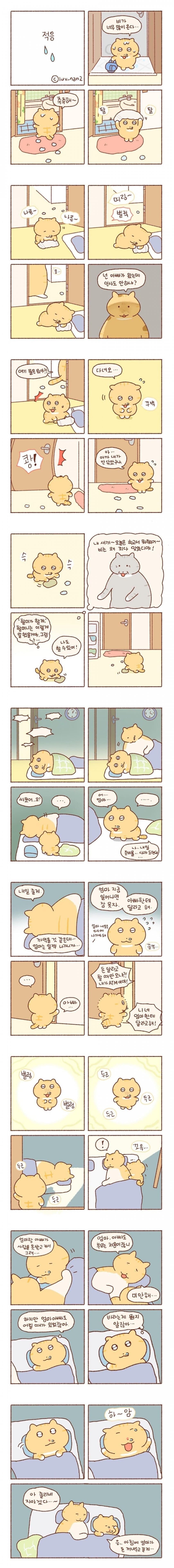 훌쩍훌쩍 은근히 많다는 집안 사정 케이스.jpg | 인스티즈