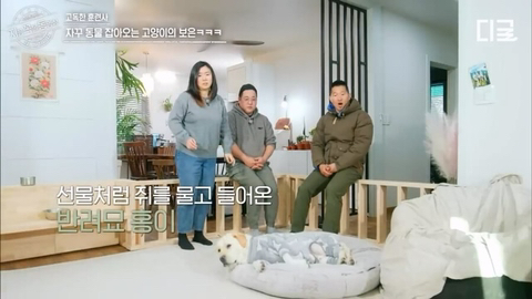 개랑 고양이 같이 키우는 집에서 방송하다 사고나서 깜짝 놀란 강형욱 | 인스티즈