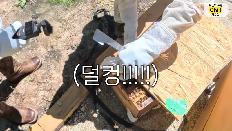 양봉 시작한 올리버쌤 근황.jpg | 인스티즈