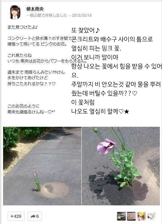 이쁜 야생 꽃의 기운을 받은 일본 아이돌 | 인스티즈