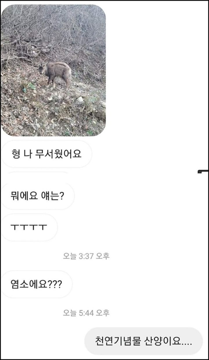 모르는게 없는 유튜버ㅋㅋㅋㅋㅋㅋ.jpg | 인스티즈