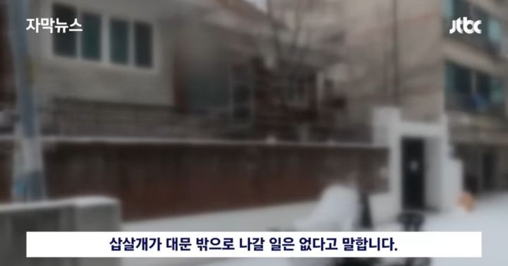 우리 개는 사람은 안물어 | 인스티즈