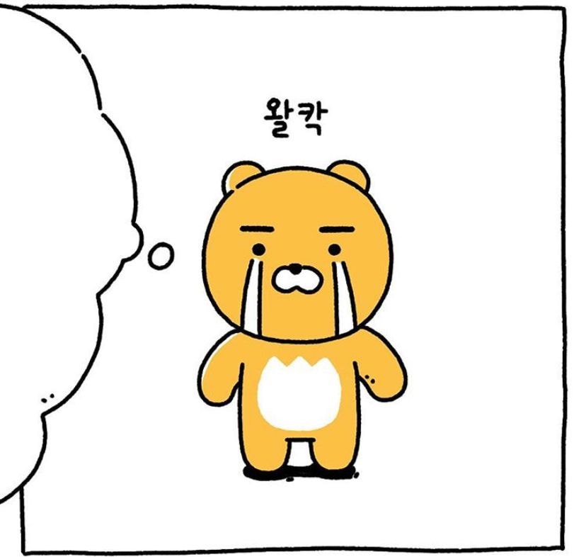 키우는 고양이가 보이지 않는다 ㅠㅠㅠㅠㅠ | 인스티즈