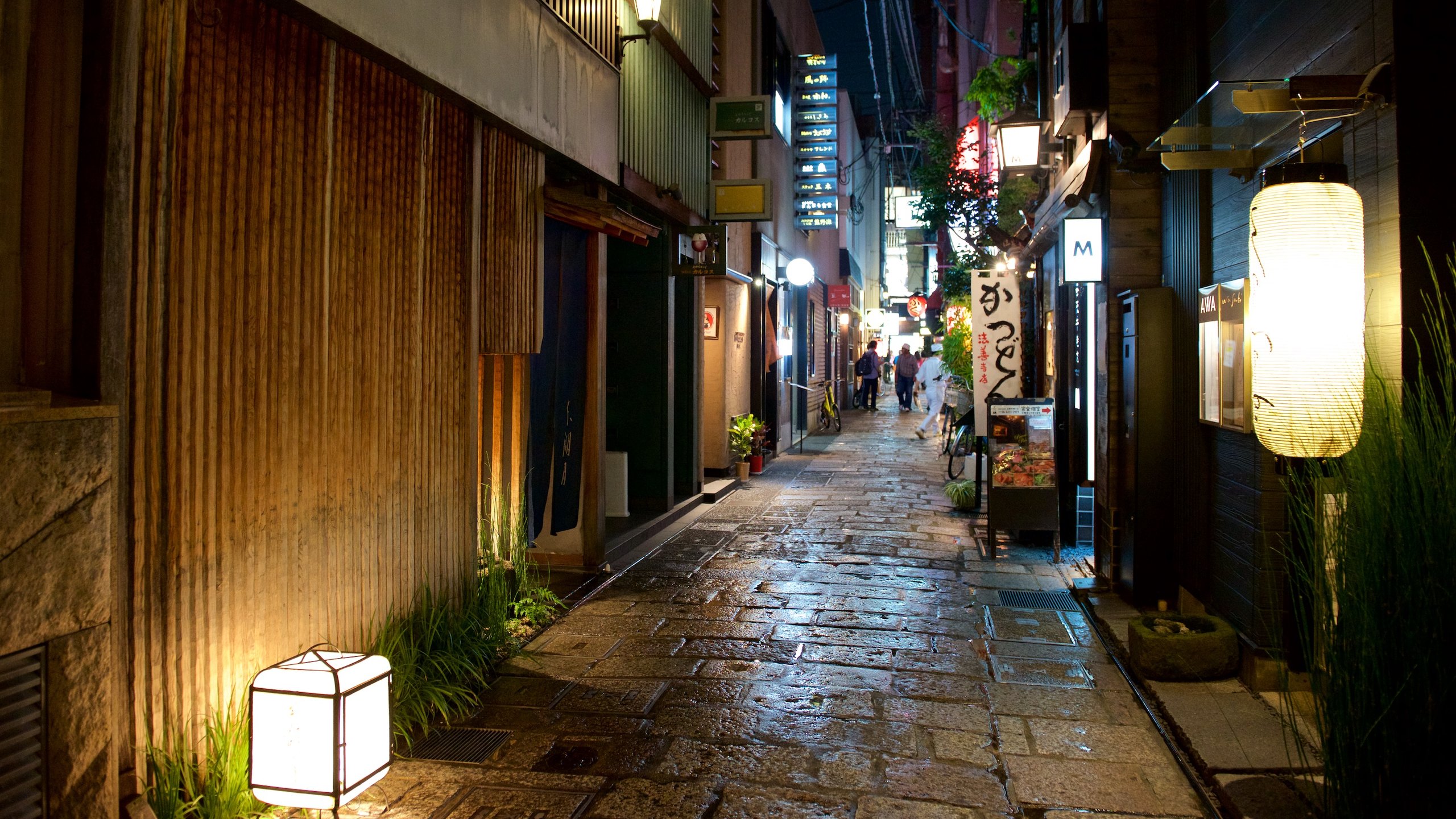 조용한 술집 좋아하는 사람들 이라면 좋아 할 법한 교토 이자카야 거리 | 인스티즈