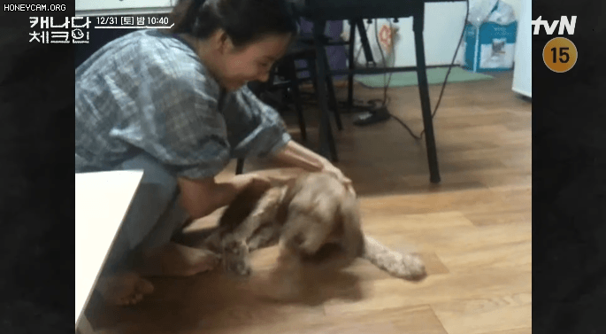 순심이와 똑같이 생긴 강아지를 본 이효리 | 인스티즈