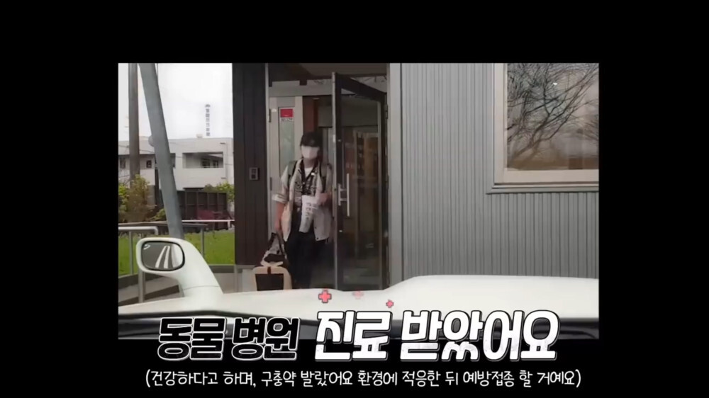 [스압주의] 일본인 캣맘 유튜버 2편 - 3천만원짜리 고양이 집 지음 | 인스티즈