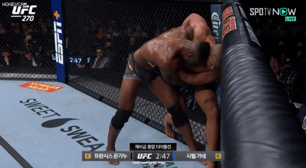 e8826c50727a49450d6c1469e472038e045fe96f