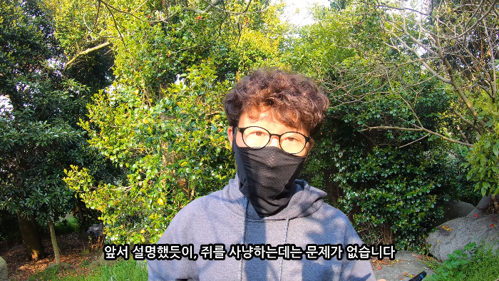 [사진100장스압] 고양이가 자연생태계에 끼치는 심각한 영향 | 인스티즈