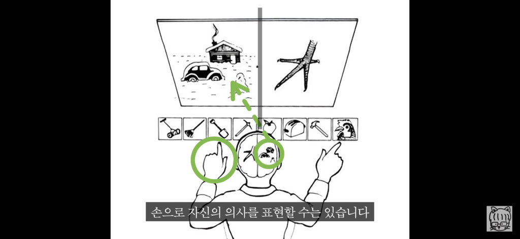 (스압)분리 뇌 실험 | 인스티즈