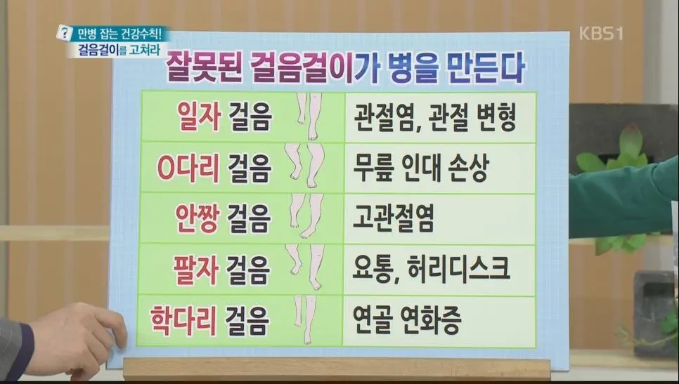 습관들 이미지