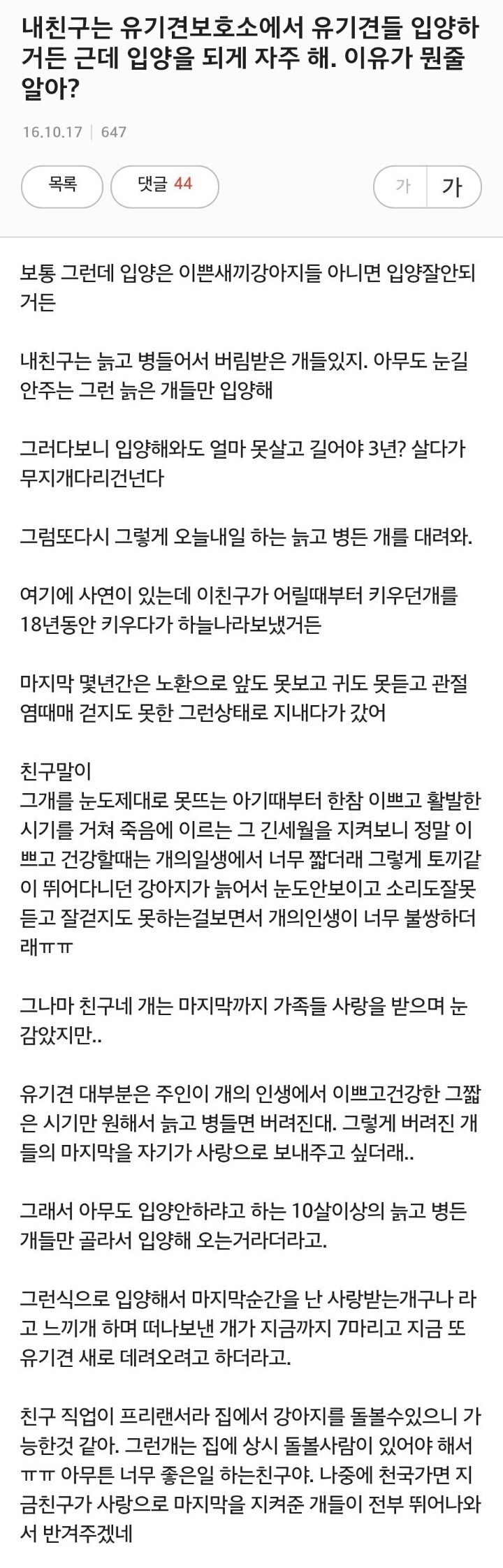 친구가 나이많은 유기견 입양하는 이유 | 인스티즈