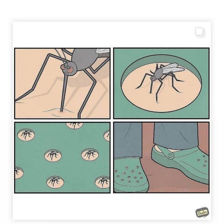 보기만해도 ㅈ같아 지는 사진 | 인스티즈