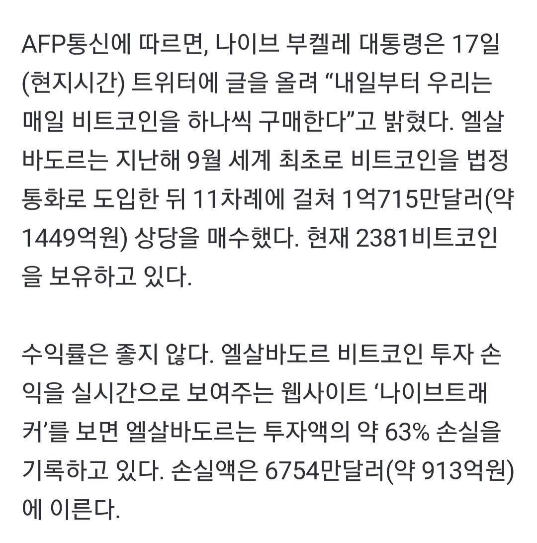 코인 떡락하자 코인 떡락하자 엘살바도르 대통령 반응 - 웃긴자료 ‥‥‥‥‥、 - 도탁스 (DOTAX)