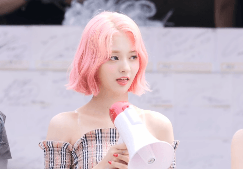 핑크색 머리가 가장 잘 어울리는 여자아이돌 걸그룹 멤버는? .gif | 인스티즈