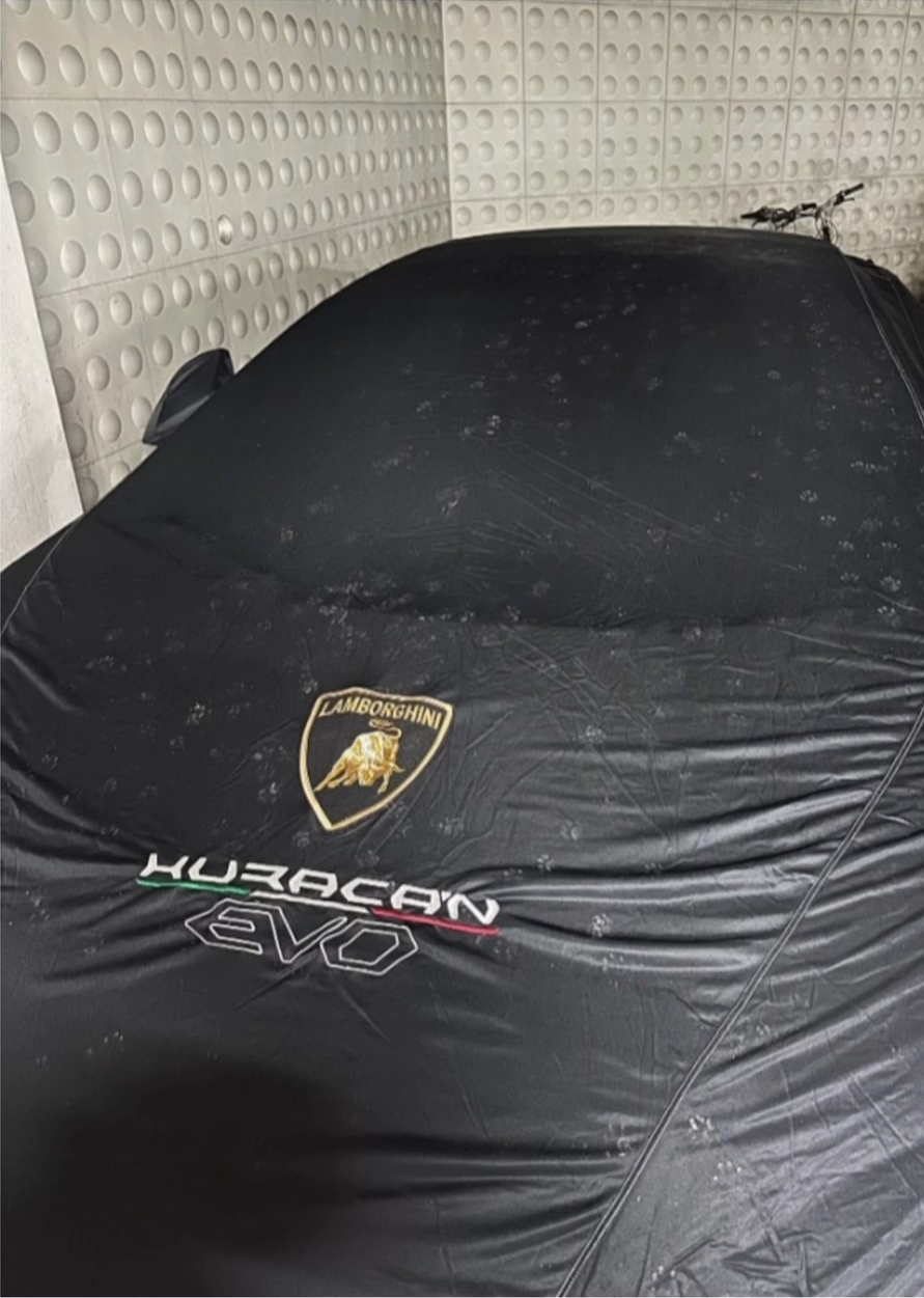 고양이 피해막으려고 차에 커버 씌운결과 | 인스티즈