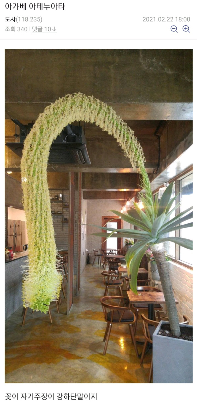 e9873de46b3e8a75f02d09d095c2f67b6fc98eca