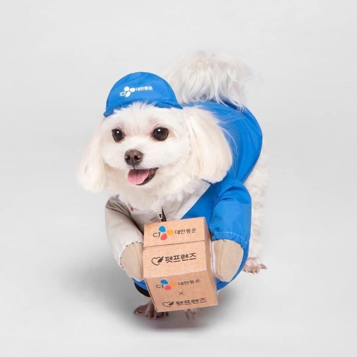 명예 택배사원 경태 프로필사진.jpg | 인스티즈