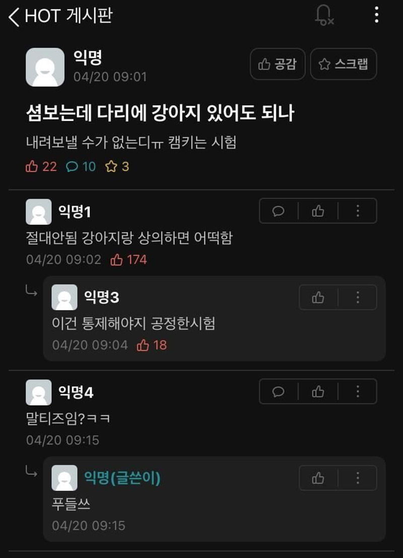시험보는데 다리에 강아지 있어도 되나 | 인스티즈