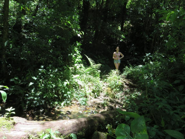 프론 크레머르스 실종사건 | 인스티즈