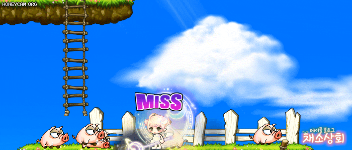 메이플스토리 데미지 스킨 모음 | 인스티즈