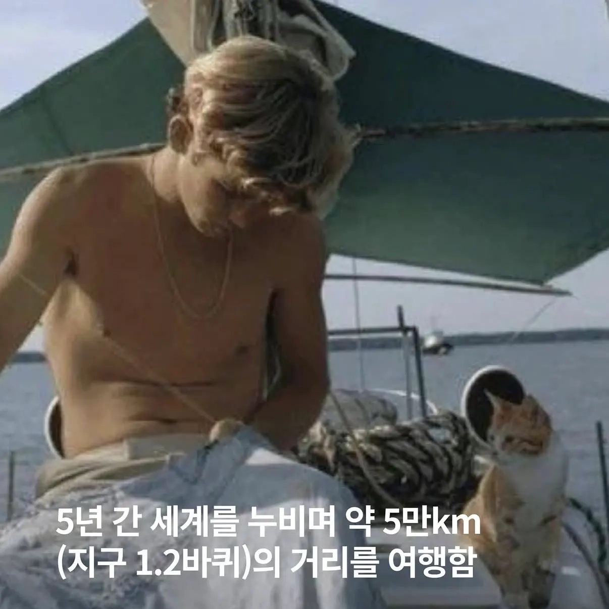 고양이랑 세계 일주 항해한 16세 소년 | 인스티즈