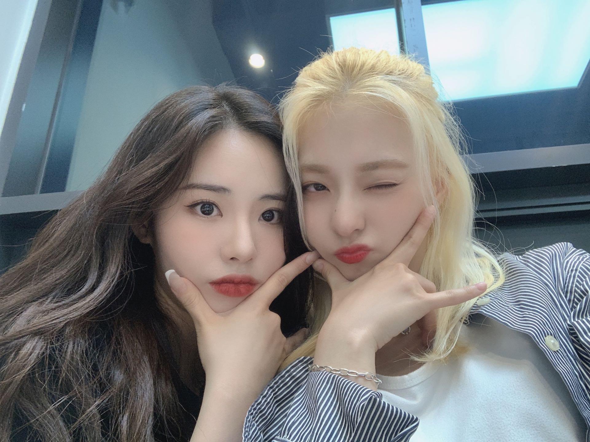 V라이브 채널에 올라온 프로미스나인 총 정리 2탄 | 인스티즈