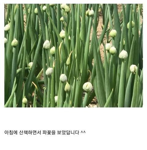 캣맘과 달리 동정받는 것 | 인스티즈