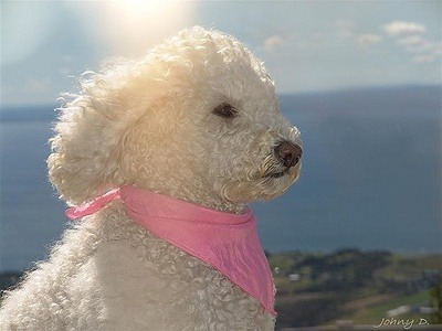 ea34c49d488ec9f3eca2423180a5515f2539d3bd