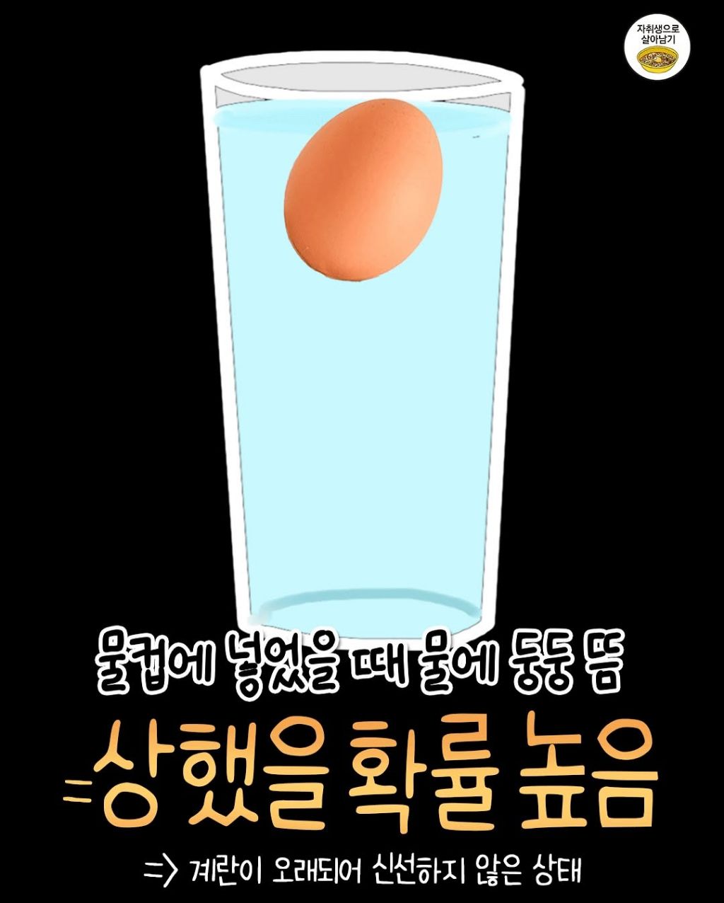 우리집 달걀 상했는지 쉽게 알 수 있는 방법.jpg | 인스티즈