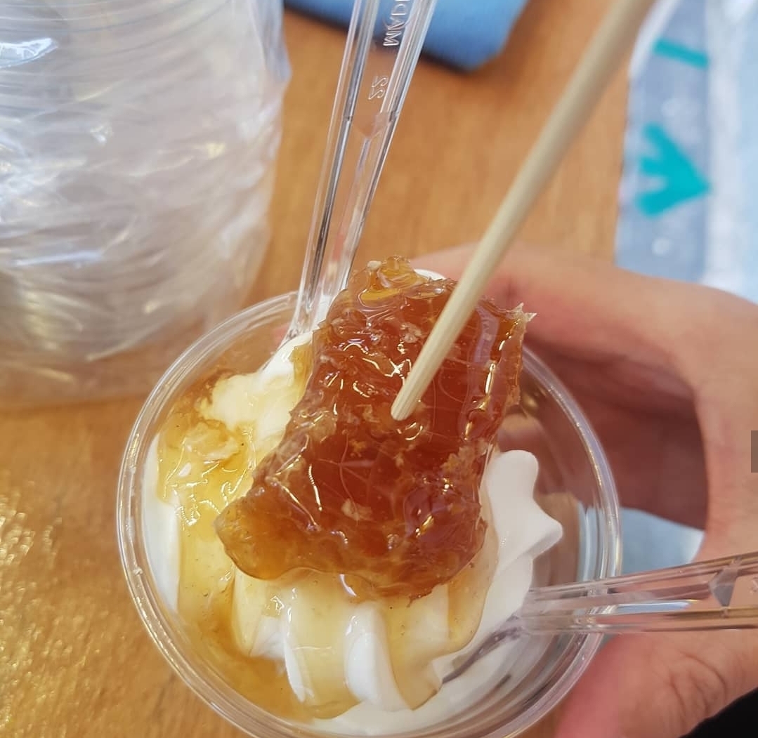 먹어본 사람 많은지 궁금한 아이스크림.......jpg | 인스티즈