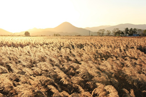 ea9ab90c2945b63cbd6bf34472610b6f3e0706ca