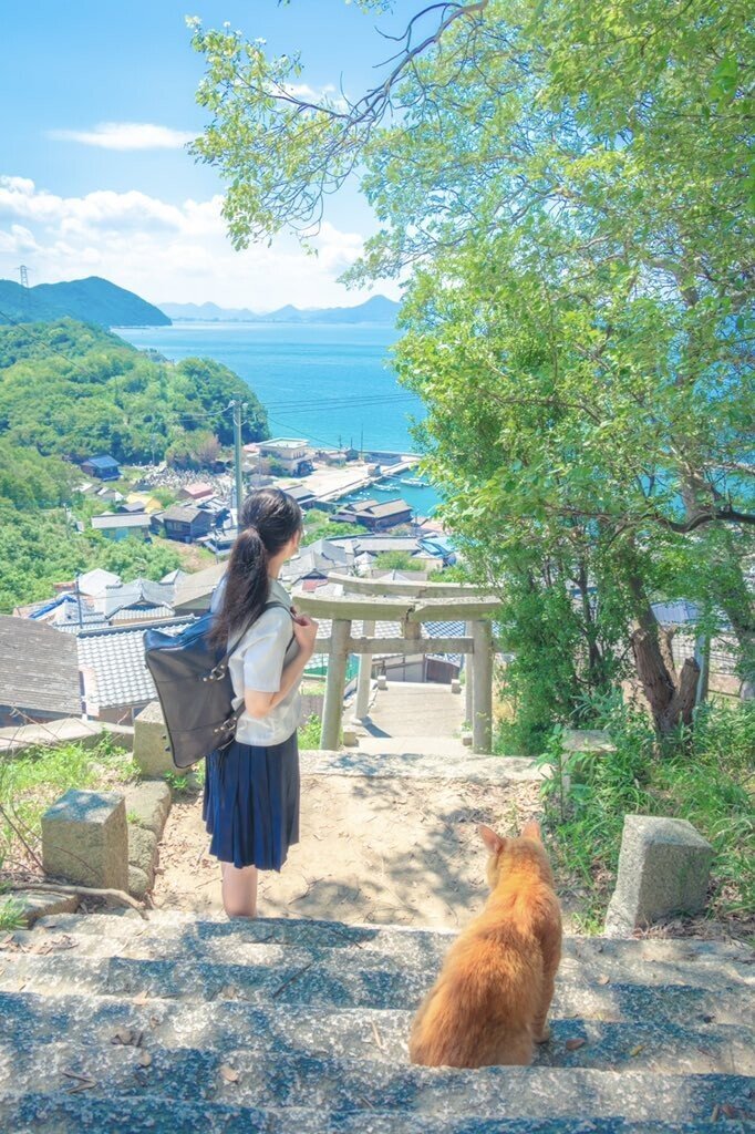 애니메이션 배경풍 사진 찍는 일본 여고생들 | 인스티즈