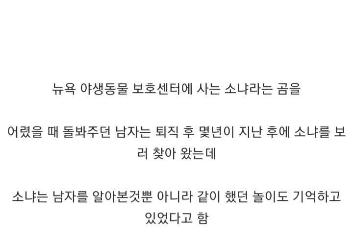 곰이 어렸을 때 돌봐주던 남자.gif | 인스티즈