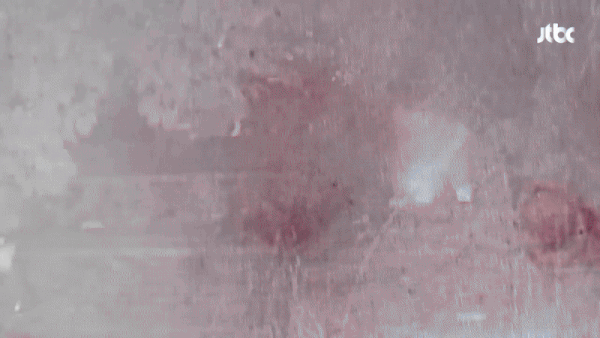 CCTV 공개된 거제 비비탄 노견 사망 사건.gif | 인스티즈