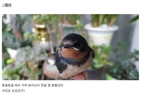 싱글벙글 새줍한 디씨인 | 인스티즈