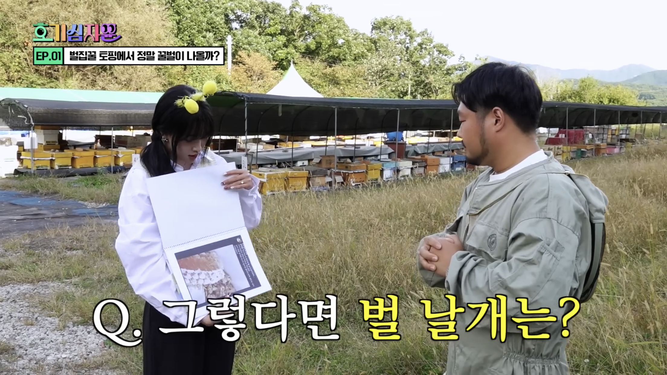 요거트 아이스크림 벌집꿀에서 나오는 벌의 정체............jpg | 인스티즈