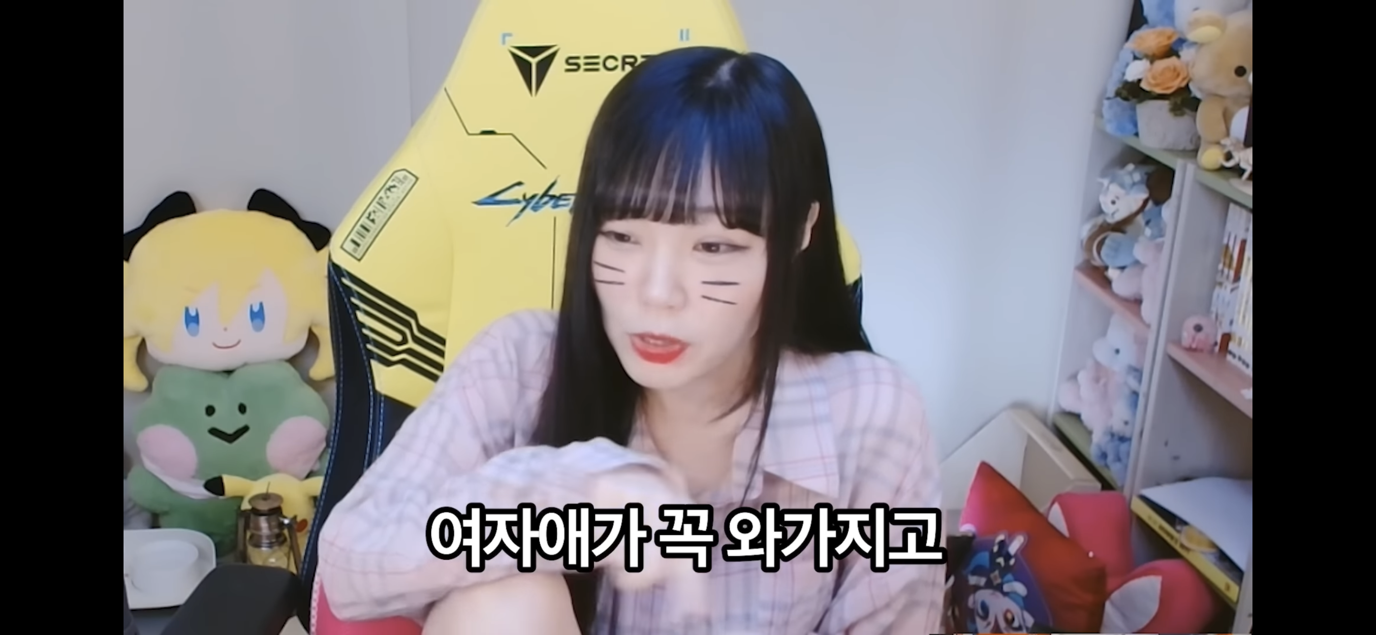 서새봄이 보는 메이플스토리 | 인스티즈