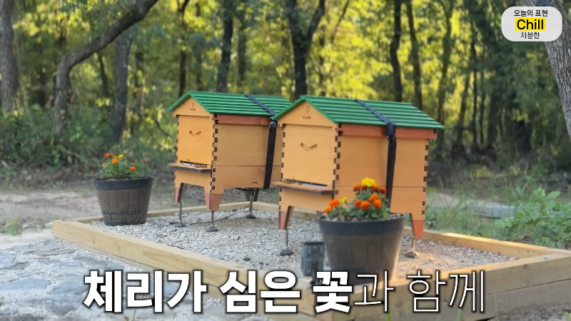 양봉 시작한 올리버쌤 근황.jpg | 인스티즈